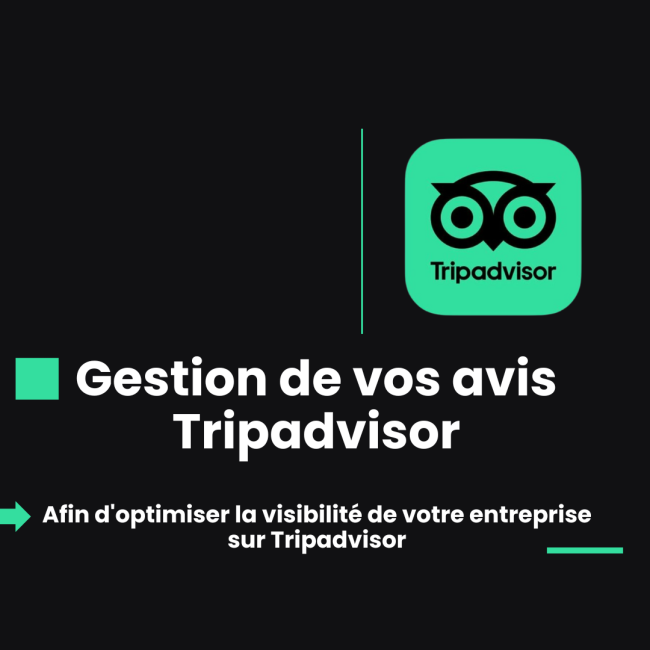 Gestion des Avis TripAdvisor 